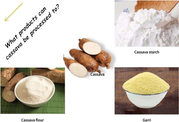 Garri (Cassava Granules) - Image 4