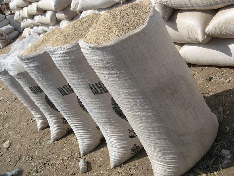 Sesame Seeds - Image 2