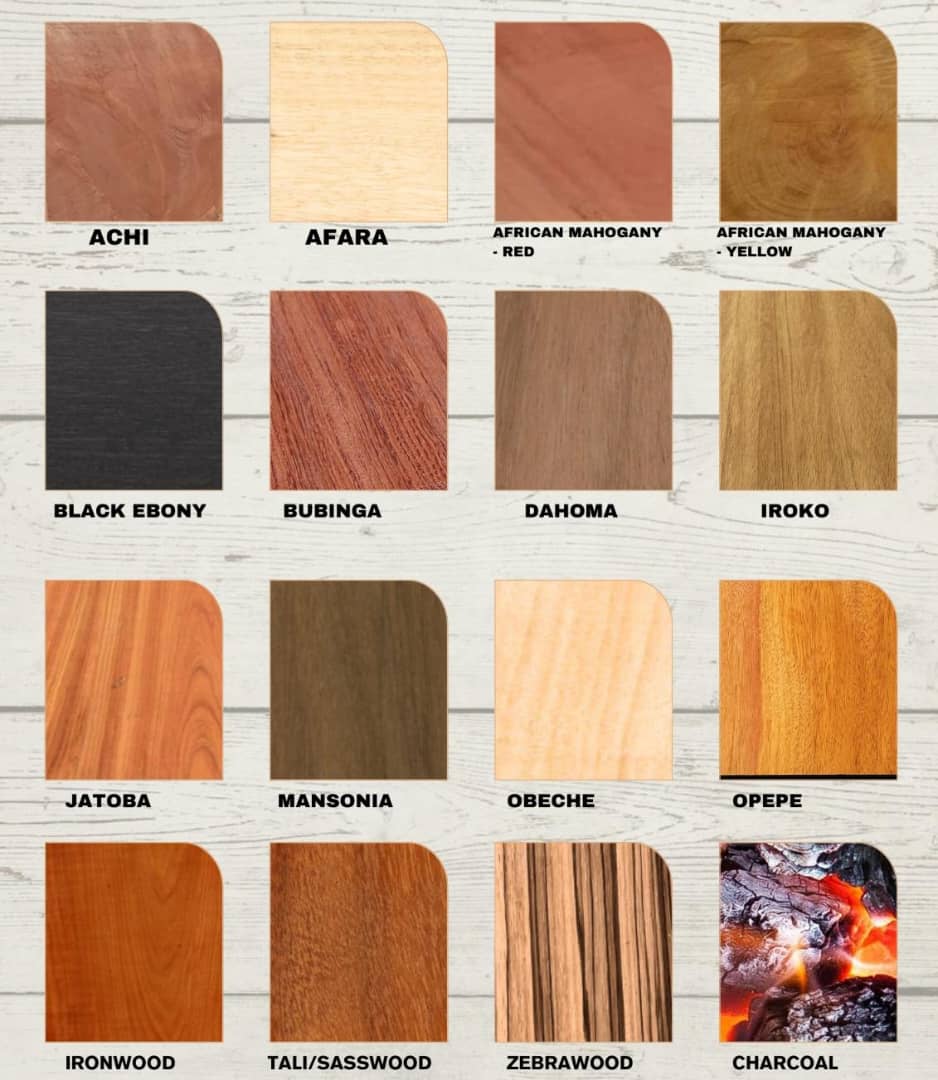 Timber (Hardwood Logs / Sawn Wood) - Image 9