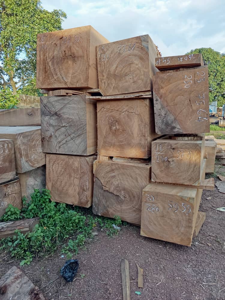 Timber (Hardwood Logs / Sawn Wood) - Image 7