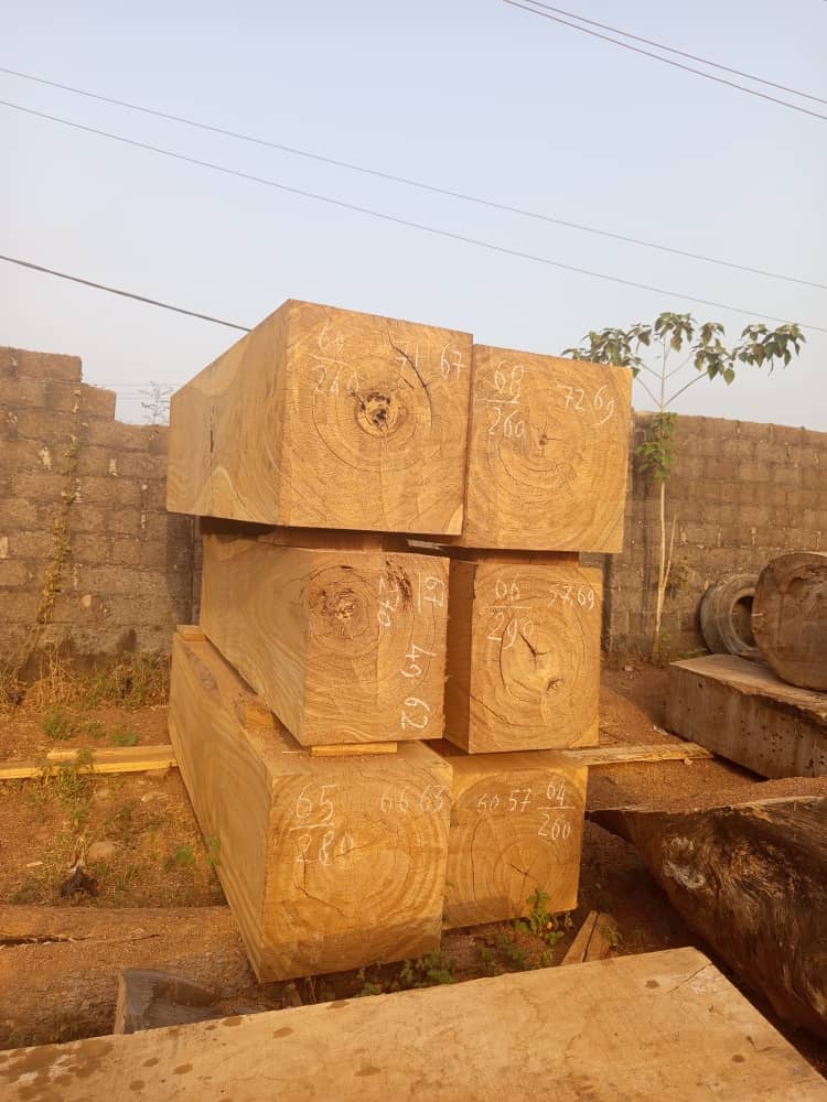 Timber (Hardwood Logs / Sawn Wood) - Image 6