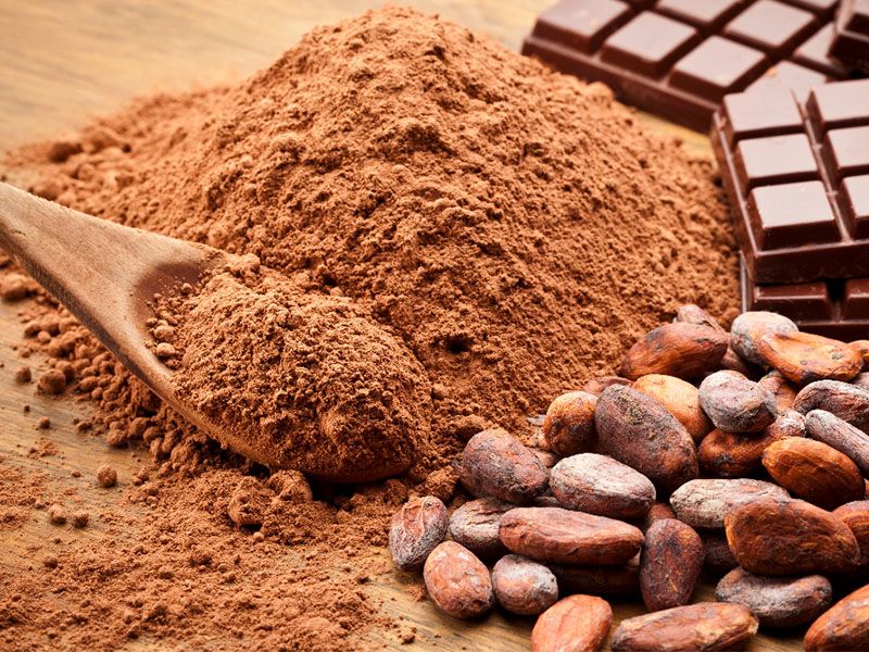 Cocoa Beans - Image 2