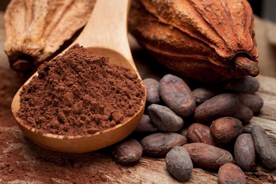 Cocoa Beans - Image 3