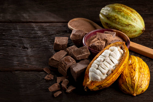 Cocoa Beans
